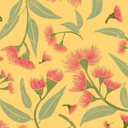 australian natives flowering gums sunshine  