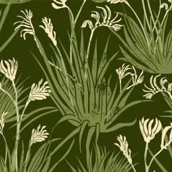 australian natives kangaroo paw rainforest  