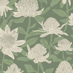 australian natives waratahs bushland   