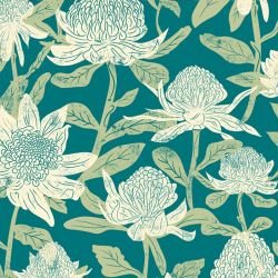 australian natives waratahs coastal 