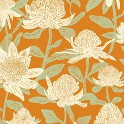 australian natives waratahs desert 