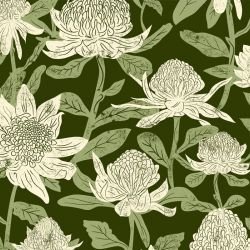 australian natives waratahs rainforest 