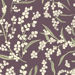 australian natives wattle gumnut 