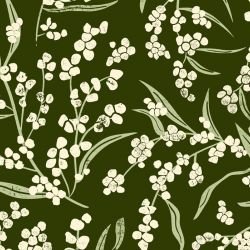 australian natives wattle rainforest 