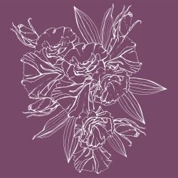 flower doodles blossoming art orchid white reverse