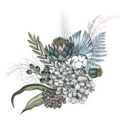 flower doodles faded posy greenery