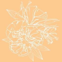flower doodles fleeting colour apricot white reverse