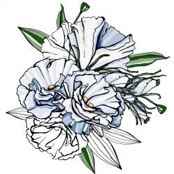 flower doodles fleeting colour blue green