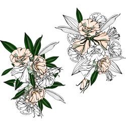 flower doodles native peonies peachy green