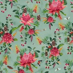 the painted garden great southern land sage 