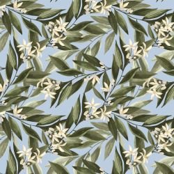 tuscan days ornamental tree sky