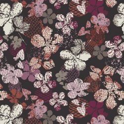 wildstralia the sun still shines untamed 