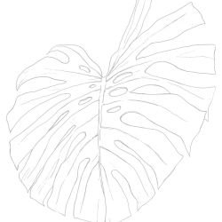 flowing flora monstera mosaic smoke