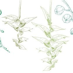 flowing flora tropical arcadia evergren myrtle olive marine