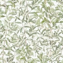 tuscan days lily foliage white