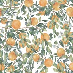 tuscan days orange tree canopy white