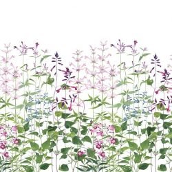 the painted garden sarahs garden white detail 