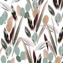 garden muse cactus and calatheas pastels