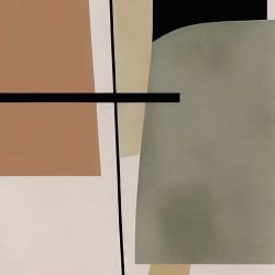 geometric abstractions induction 