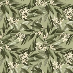 tuscan days ornamental tree sage