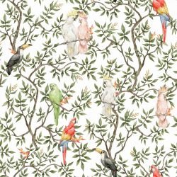 animal tropics perching parrots white