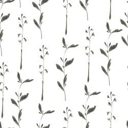 greenhouse watercolour vine  original