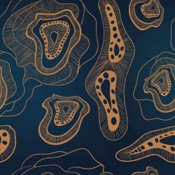 ngoolark kaya ocean bimbi