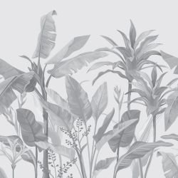 jungle chic paradise palms silt shimmer