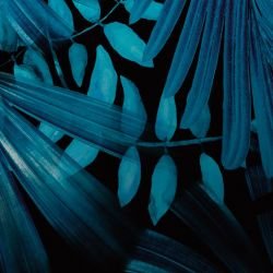 jungle jewels leafy labyrinth nightshine detail