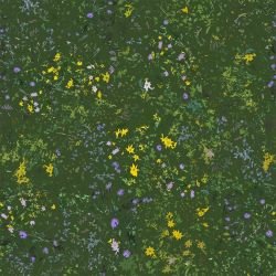 landscape   daisy   green