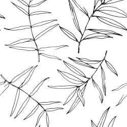 leaf outlines elongated leaves black white