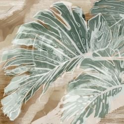 leafscapes monsteria leaves khaki wash