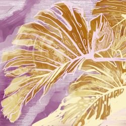 leafscapes monsteria leaves purple sunrise