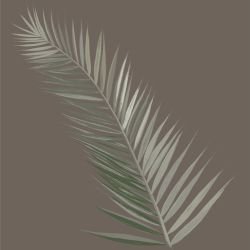 leafscapes single frond pale green brown