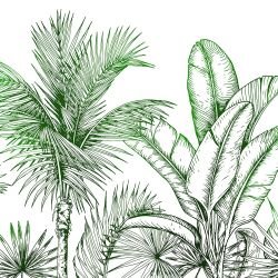 lush outlook frond border green