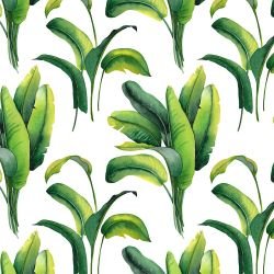 lush outlook palm plantation green