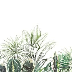 lush outlook rainforest border green