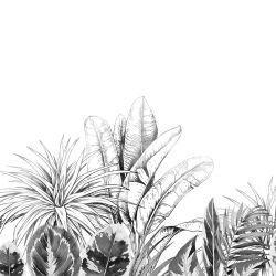 lush outlook rainforest border greyscale