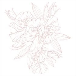 flower doodles blossoming cotton candy white