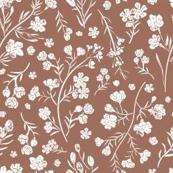 bushland beauties native wax flower ochre