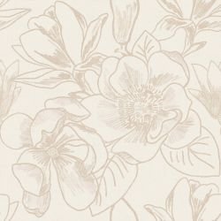 magnolia magnolia in full bloom chalk white