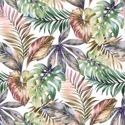 summer tropics summer  palm day