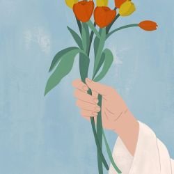 natures bounty tulip embrace multi