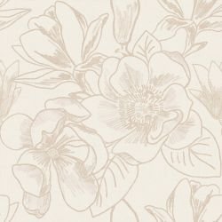 magnolia magnolia in full bloom chalk white