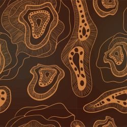 ngoolark kaya wood bimbi