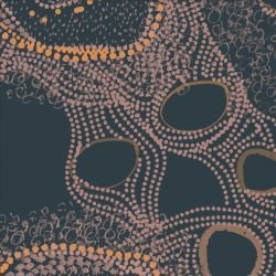 ngoolark creeks marine bimbi detail