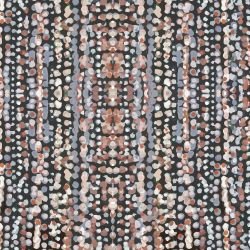 whadjuk dreaming my country home amongst the wildflowers repeat rain detail