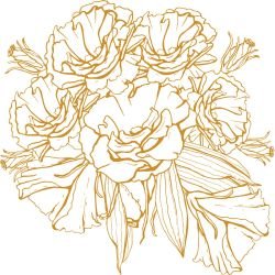 flower doodles floraly blooms butternut white