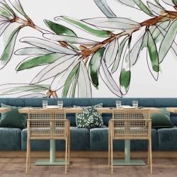 australian native doodles silver banksia