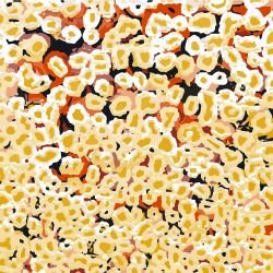 dreaming tracks mother mimi mural lands 